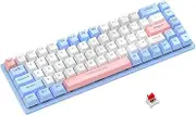 K11-TR2 60% Mechanical Gaming Keyboard, 68 Keys, Hot-Swappable, 2.4GHz Wireless/Bluetooth/USB-C, RGB TKL, Red Switch, Compatible with Windows/Mac