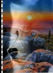 Password /Web Address Book "Coyote"{