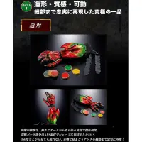 在飛比找蝦皮購物優惠-現貨 日版 魂商店限定 TAMASHII Lab 假面騎士 