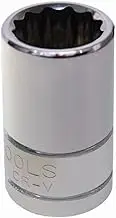 KC-Tools Hex Socket KC-Tools 3/8-Inch Drive Single Hex Socket, 10 mm Diameter