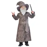 Wise Wizard 5-6 Years Halloween Costume