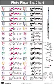 Flute Fingering Chart with Color-Coded Notes, Learn Flute Technique Suitable ...