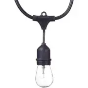 GLOBE ELECTRIC COMPANY INC 67855 Dublin 24LT S14 LED String Light, Clear