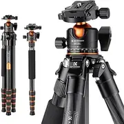 K&F Concept 62-inch Carbon Fiber Camera Tripod,Portable Compact Tripods with Detachable Monopod,360° Metal Ball Head 15KG/33lbs Load Capacity with Quick Release Plate for Travel and Work A255C2+BH-35L