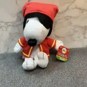 Many Faces Of Snoopy , Fierce Pirate Snoopy Plush Animal