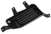 Genuine GM Cover-Frt Fog Lp Opg 22936497