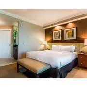 Luxury Studio At The Signature Mgm Great Location, Free Valet, No Resort Fees