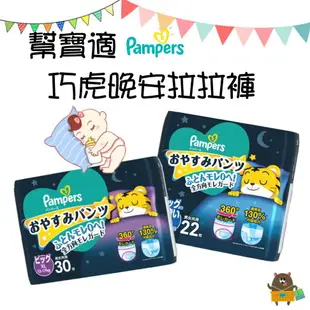 幫寶適 Pampers 巧虎 紙尿褲 晚安褲 XL30 XXL22 夜間拉拉褲 尿布 男女共用