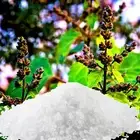 Patchouli & Lavender Bath Salts/Bath Soak Relaxing Aromatherapy Luxury