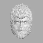 Sun Wukong Black Myth Monkey King custom head for Marvel Legends & other figures