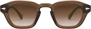 [Appassal] Retro Small Square Sunglasses for Women Mens Rectangle Sunnies AP3680