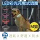 【美好寵商】DOGNESS多尼斯 LED彩光系列項圈-M號 (4色)