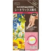 KRACIE EPILAT Hair Removal Wax Strips For Body 12sh