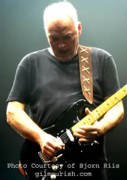 JERI HART SUEDE GUITAR STRAP FEATURED ON GILMOUR-ISH DOT COM-LONG