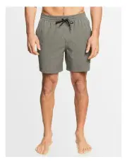 [Quiksilver] Mako 17 Inch Amphibian Boardshorts in Green