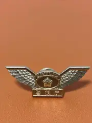 Metropolitan Police Department Safety Rider Contest Achievement Award Pin Batch