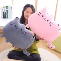 在飛比找蝦皮購物優惠-娃娃枕頭 CAT PUSHEEN CAT XL JUMBO 