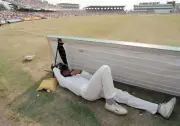 West Indian bowler Courtney Walsh lies on the ground behind a- Old Cricket Photo
