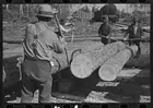 Photo:Lumberjack using peavy, at camp near Effie, Minnesota