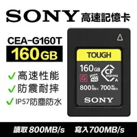 在飛比找樂天市場購物網優惠-【eYe攝影】現貨 原廠 SONY CEA-G160T 16