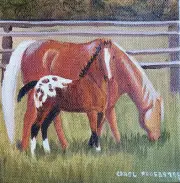 Original oil painting western horse appaloosa colt foal sorrel C Proebstel