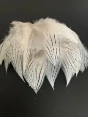 50pcs Silver Pheasant 5-9cm Pointy Black White Delicate Feathers DIY Art Craft