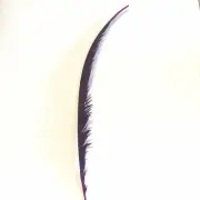 Golden Pheasant Centre Tail Feather x 10 pcs - Cerise ((BULK PACK))