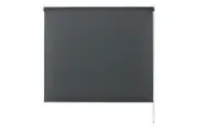 Aster Sunscreen Roller Blind
