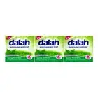 Dalan Antibacterial Refreshing Soap Spring Freshness 9 Bars x 3.17oz Each