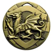 Welsh Medal Rugby Club Team Sports Dragon FREE Ribbon & Engraving Message G858