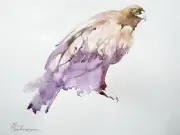 Eagle, Birds, Watercolor artwork, Handmade, Original painting on paper