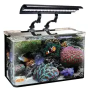 Micro Sun LED Clamp Light 12" 16 Watt 3 Models, WavePoint