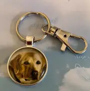 bag tag keychain keyring Yellow labrador dog cabochon