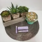 Urban Decay Lot Of 2 Primer Potions And 1 Lush Lash Mascara, New, Travel Size