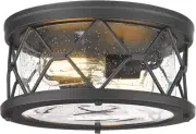 2-Light Black Flush Mount Ceiling Light - Modern Industrial Ceiling Light Fixtur