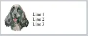 Personalized Address Labels English Springer Spaniel (P 866)