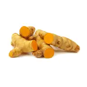 Organic Fresh Turmeric Whole Kg – Fresh, healthy organic delivery | Doorstep Organics