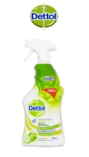 Dettol - Antibacterial Multi-purpose Cleaner Crisp Apple Big 750 ml Bottle