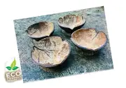 Coconut Shell Wooden Cigar Ashtray Cigarette Ash Holder Office Home Decor Gift