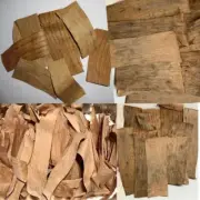 Aquarium Clean Dried Banana Leaves Organic Natural Muca Acuminata Cavendish 50g