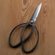 "SAHO " Shirogami Steel Okubo Scissors for Right Hander 220mm(8.7”)