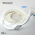 1METER W/ PLUG LED STRIP LIGHT SMD 5050 IP65 AC220V WATERPRO