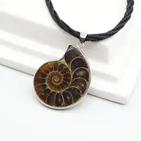 在飛比找樂天市場購物網優惠-Ammonite 天然斑彩螺化石吊墜 斑彩螺包邊項鏈菊石鸚鵡