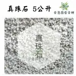 真珠石 5公升 排水 透氣 觀葉植物用 混土 【榮恩園藝資材】