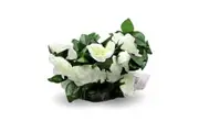 Cream Rose Garland 29 Heads 1.6M 2Pc Artificial Fake Life-Like Flowers Greenery Foliage Leaf Home Wedding Party Decor Wall Hang Loop