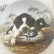 "Dog Tired - The Springer Spaniel" 1st Plate in "Field Puppies" by Lynn Kaatz