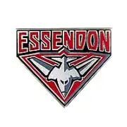 Essendon Logo Lapel Pin