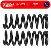 2 Front Coil Springs 1975-1977 Chevrolet Vega 75 76 77 Monza PAIR (for: Chevrolet)