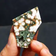 HOT20G Natural Colorful RARE Polished Ocean Jasper Crystal 4668+