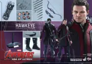 1/6 Hot Toys MMS289 HAWKEYE Avengers: Age of Ultron - New Sealed Shipper